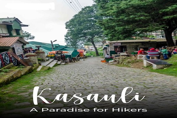 delhi to kasauli cabs