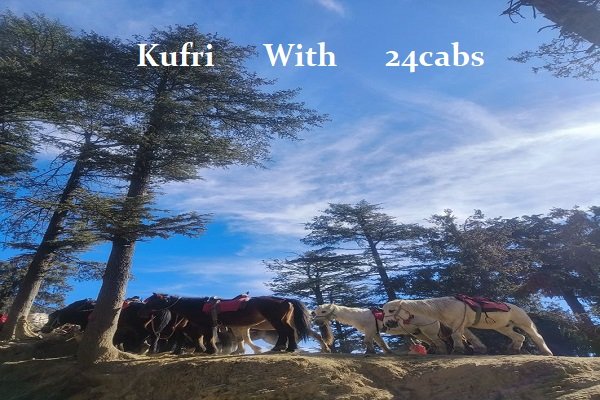 kasol to kufri Cabs