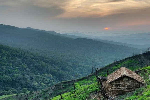 surat to nilanga cabs