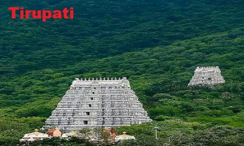 delhi to tirupati cabs