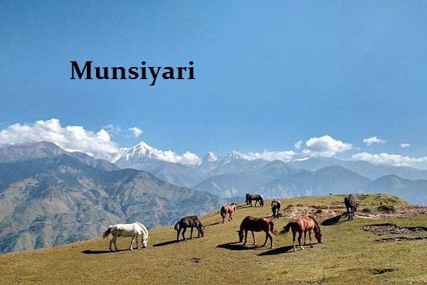 almora to munsiyari cabs