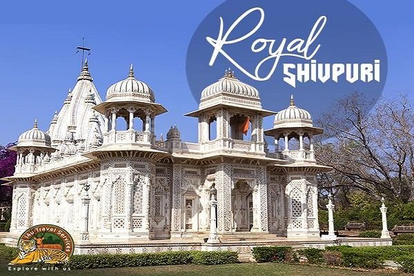 etawah to shivpuri cabs